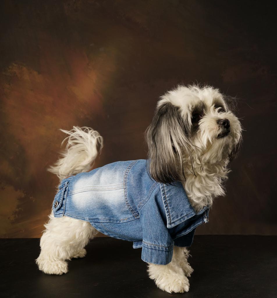 Betty Denim Jacket