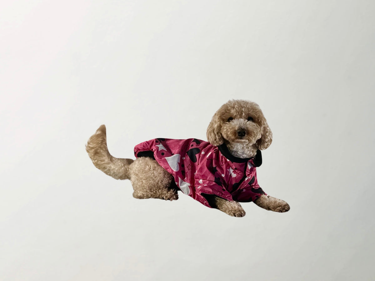 Barkbie Raincoat