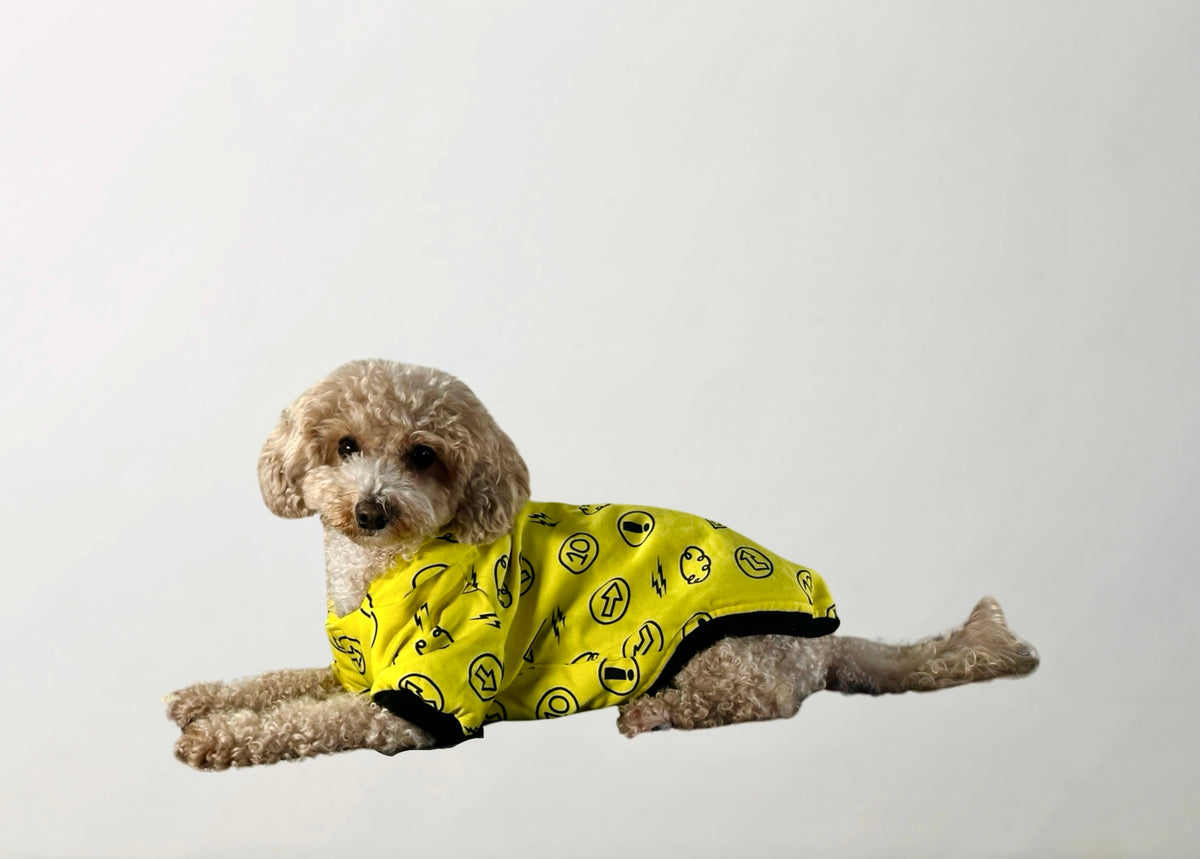 Hera Raincoat