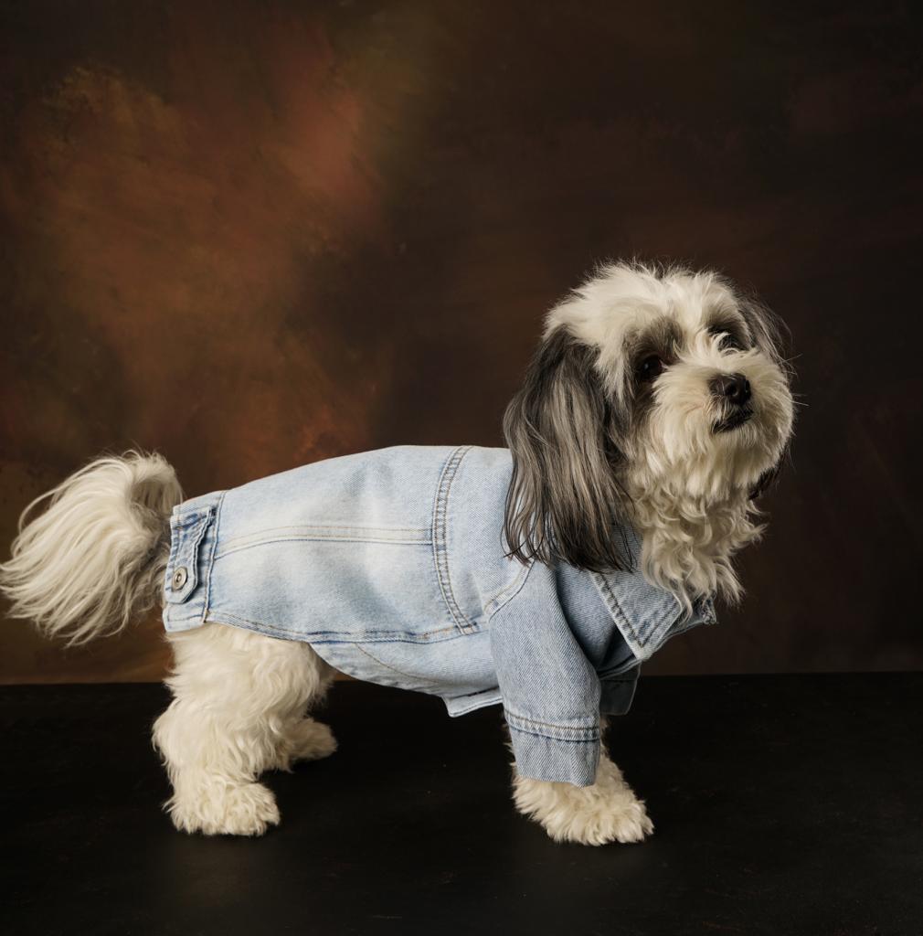 Wilma Denim Jacket