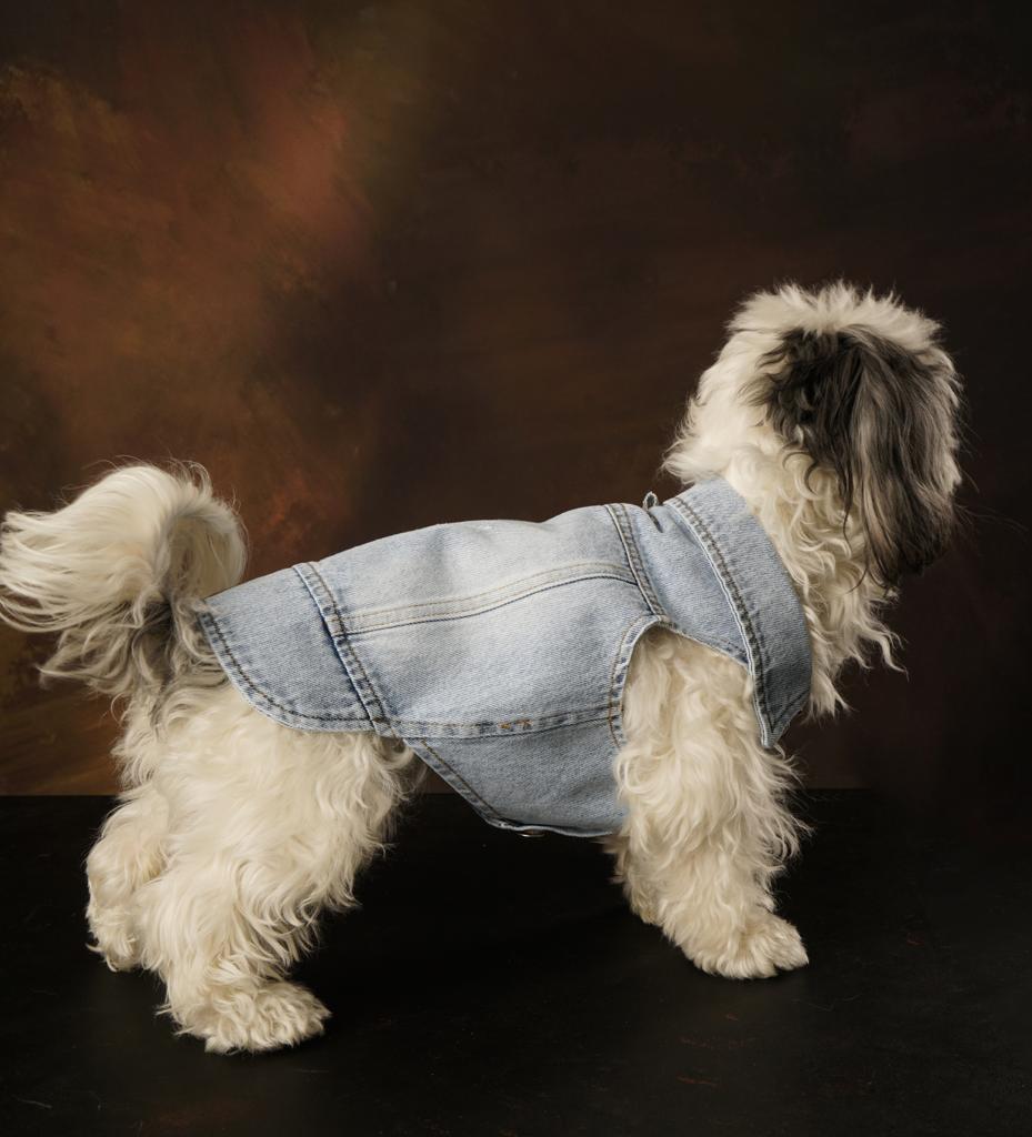 Wilma Denim Vest