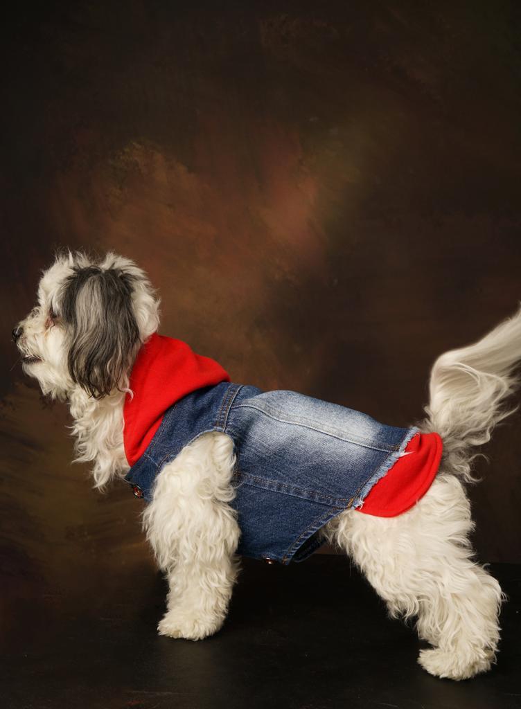 Betty Casual Denim Vest