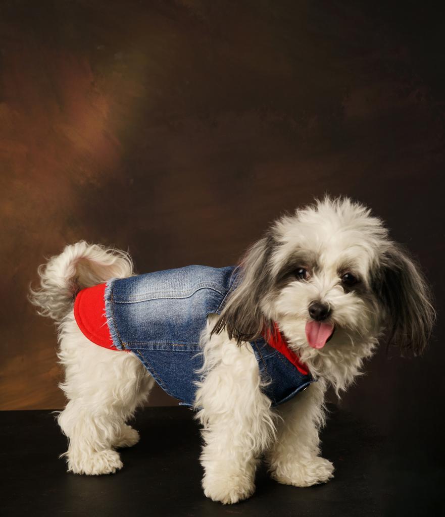 Betty Casual Denim Vest