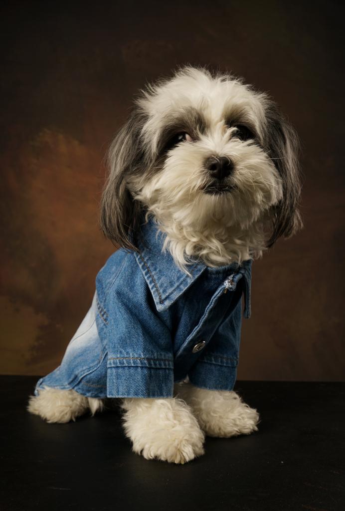 Betty Denim Jacket