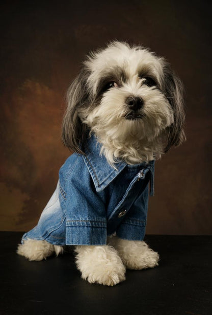 Betty Denim Jacket