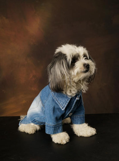 Betty Denim Jacket