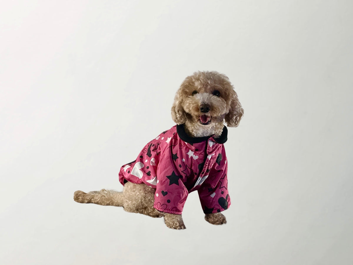 Barkbie Raincoat