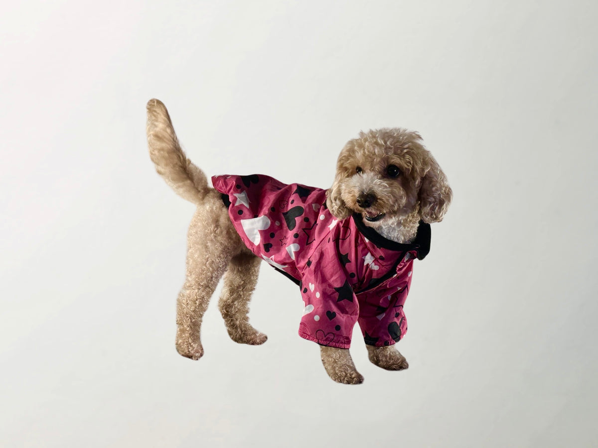 Barkbie Raincoat