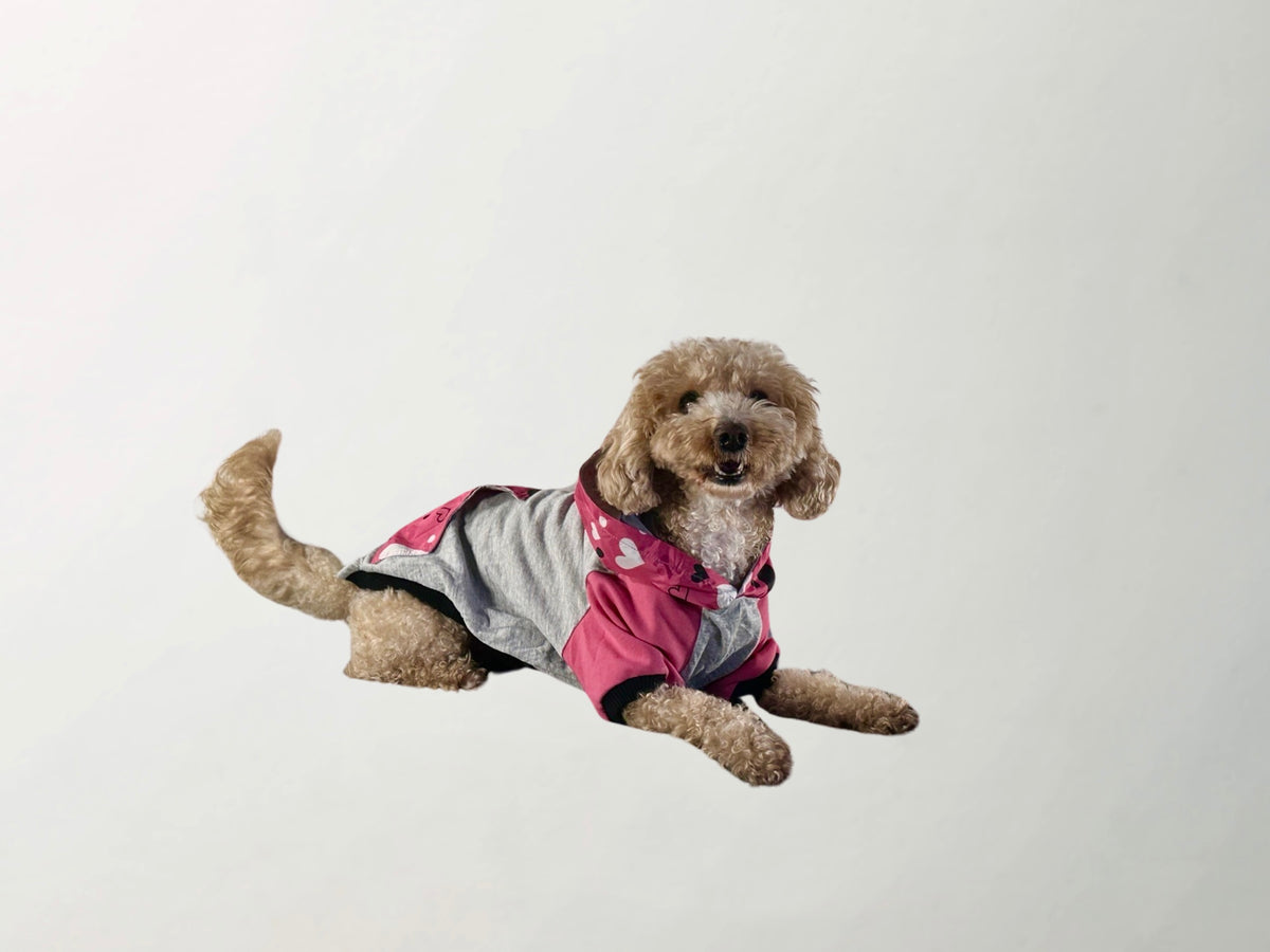 Barkbie Sweatshirt
