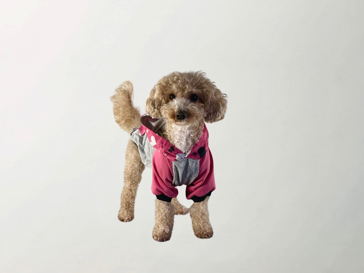 Barkbie Sweatshirt