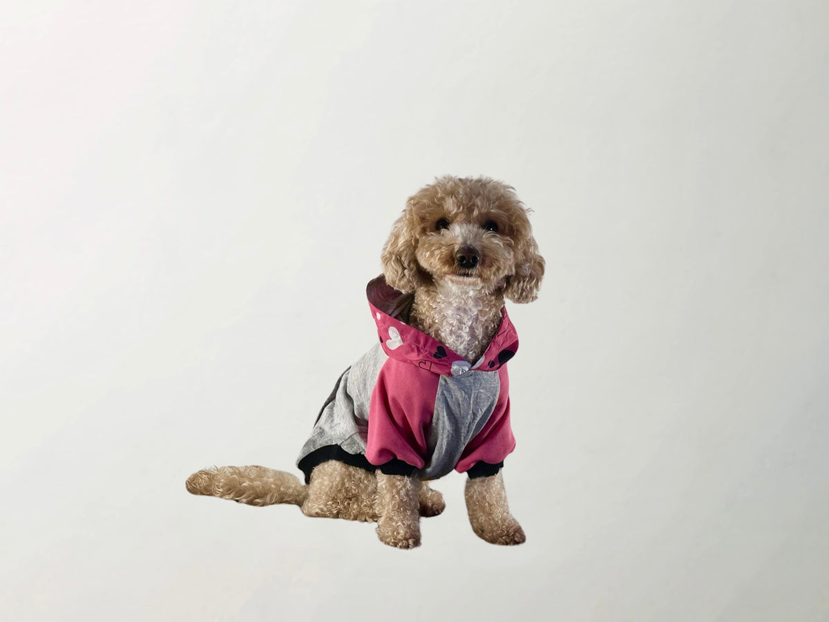 Barkbie Sweatshirt