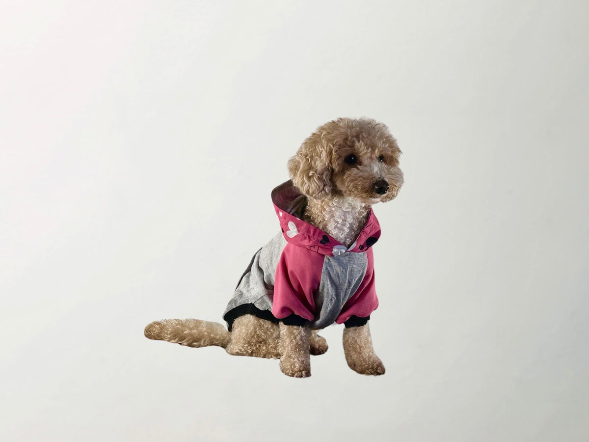 Barkbie Sweatshirt