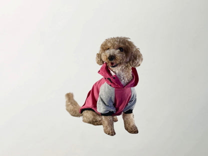 Barkbie Sweatshirt
