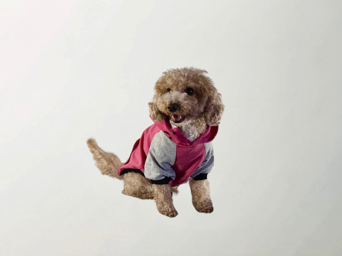 Barkbie Sweatshirt