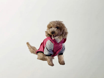 Barkbie Sweatshirt