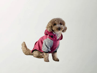 Barkbie Sweatshirt