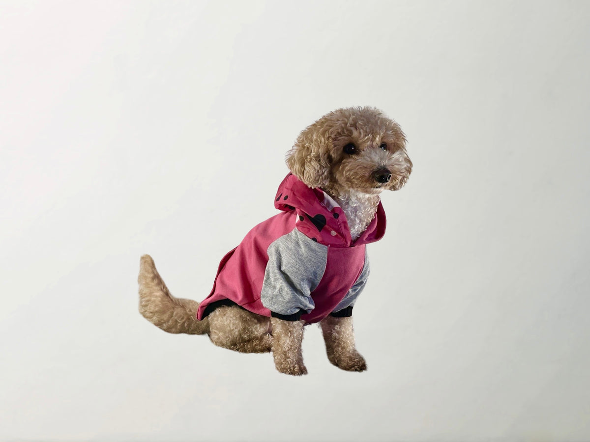 Barkbie Sweatshirt