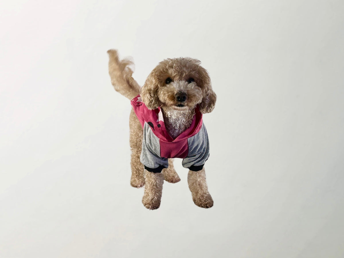 Barkbie Sweatshirt