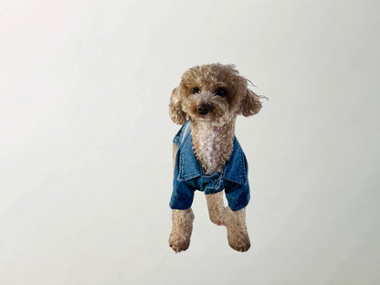 Betty Denim Jacket