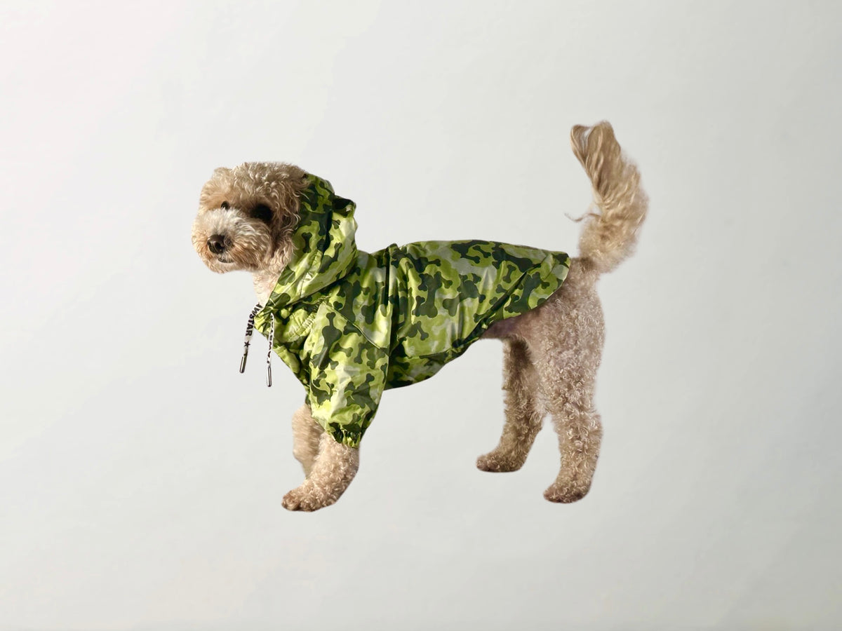 Bones Raincoat