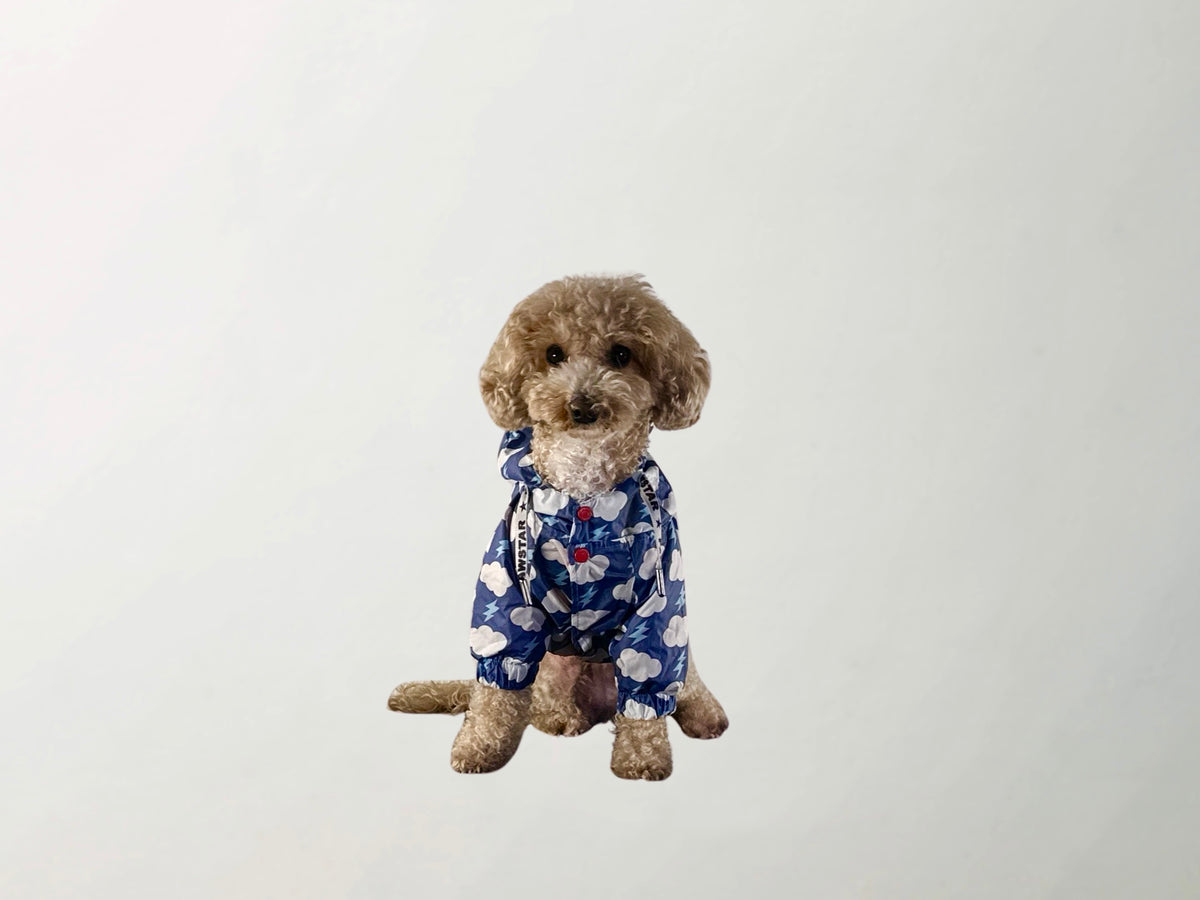 Cloudy Raincoat