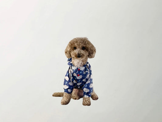 Cloudy Raincoat