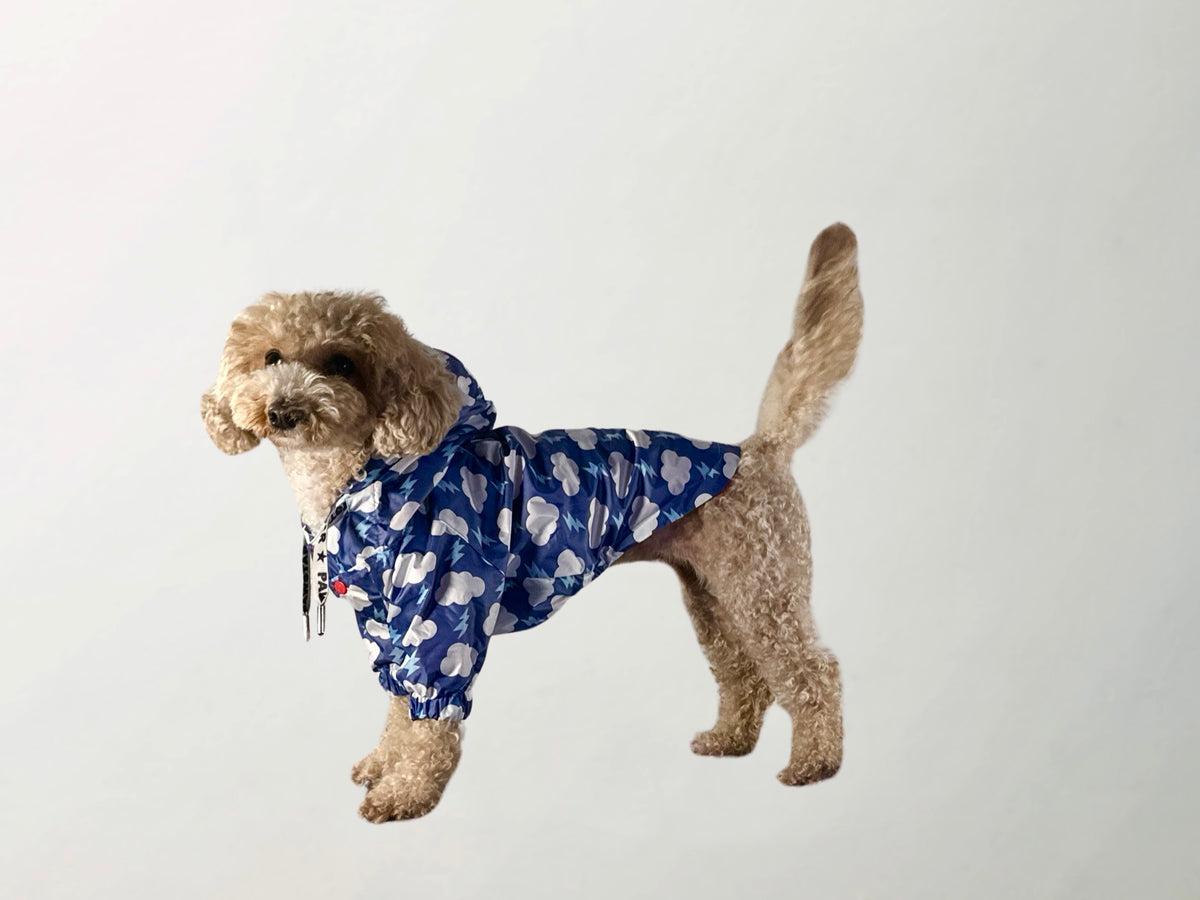 Cloudy Raincoat