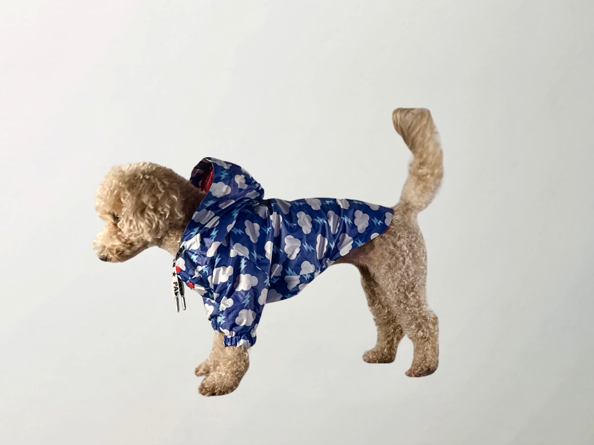 Cloudy Raincoat