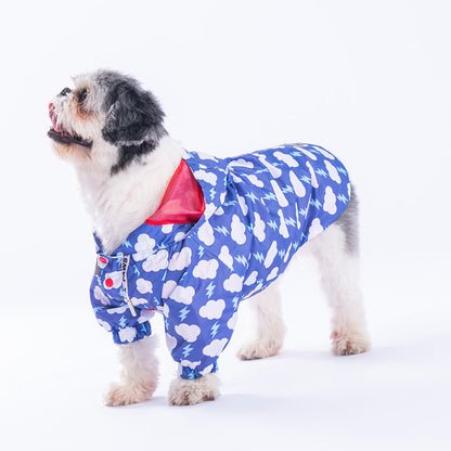 Cloudy Raincoat