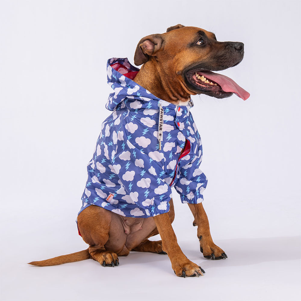 Cloudy Raincoat