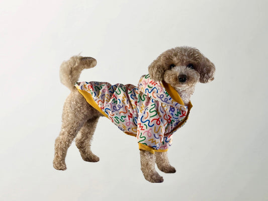 Confetti Raincoat