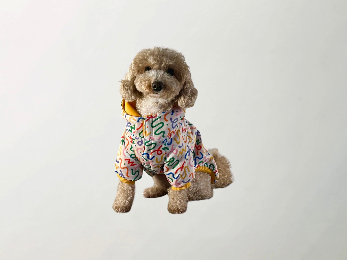 Confetti Raincoat