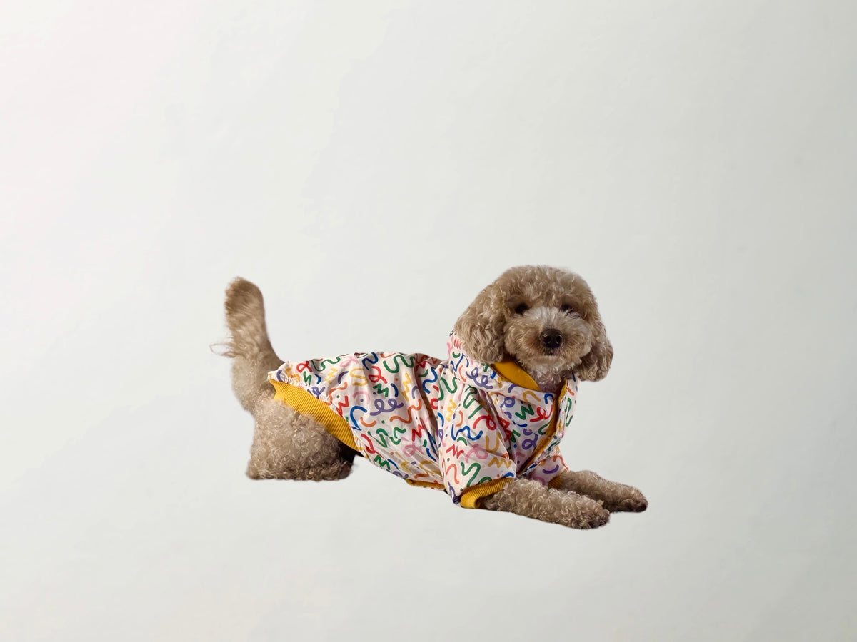 Confetti Raincoat
