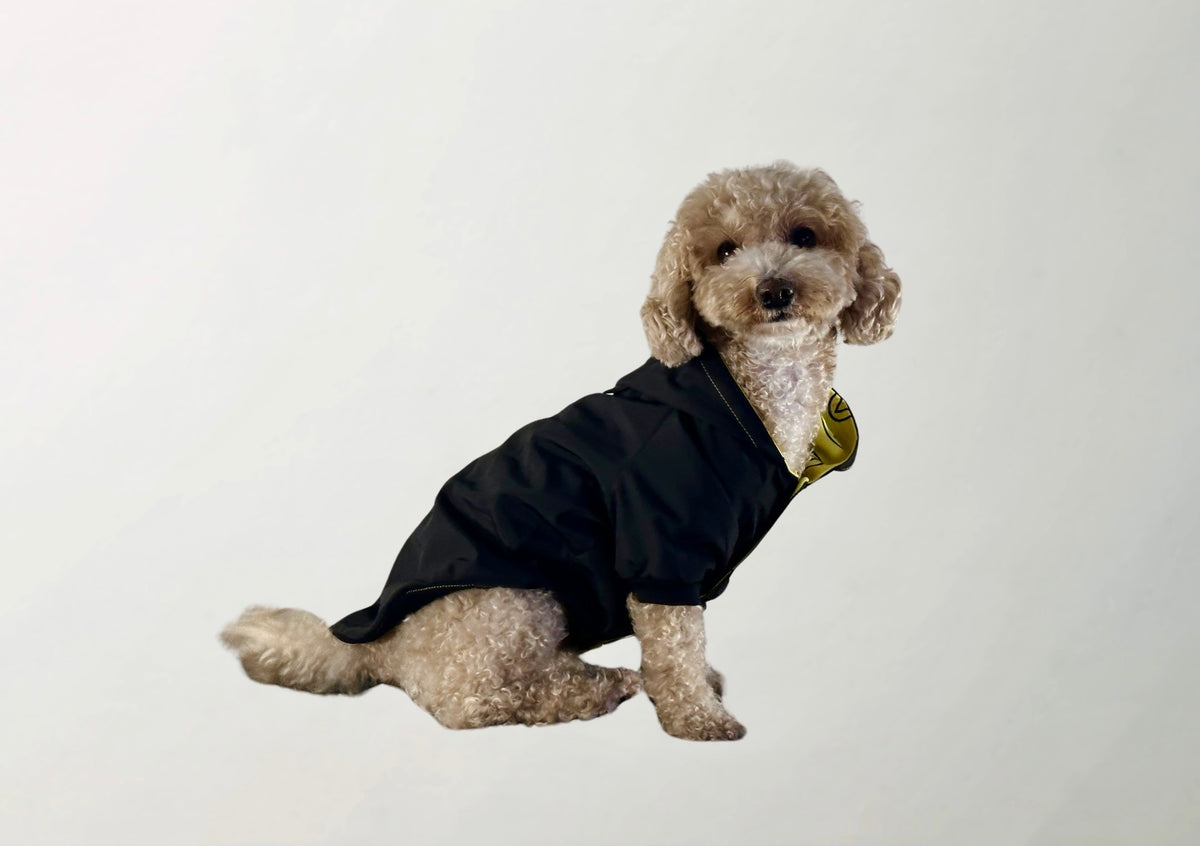 Hera Raincoat