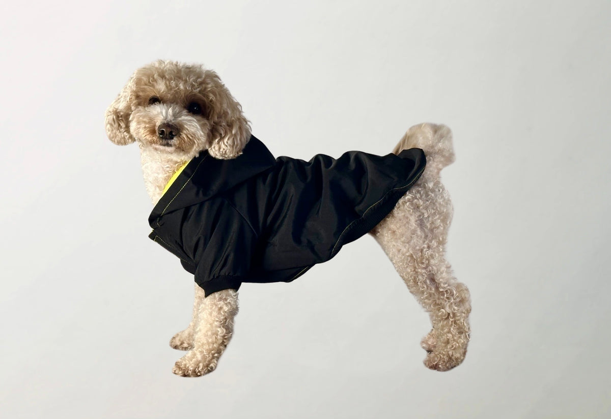 Hera Raincoat