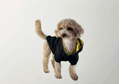 Hera Raincoat