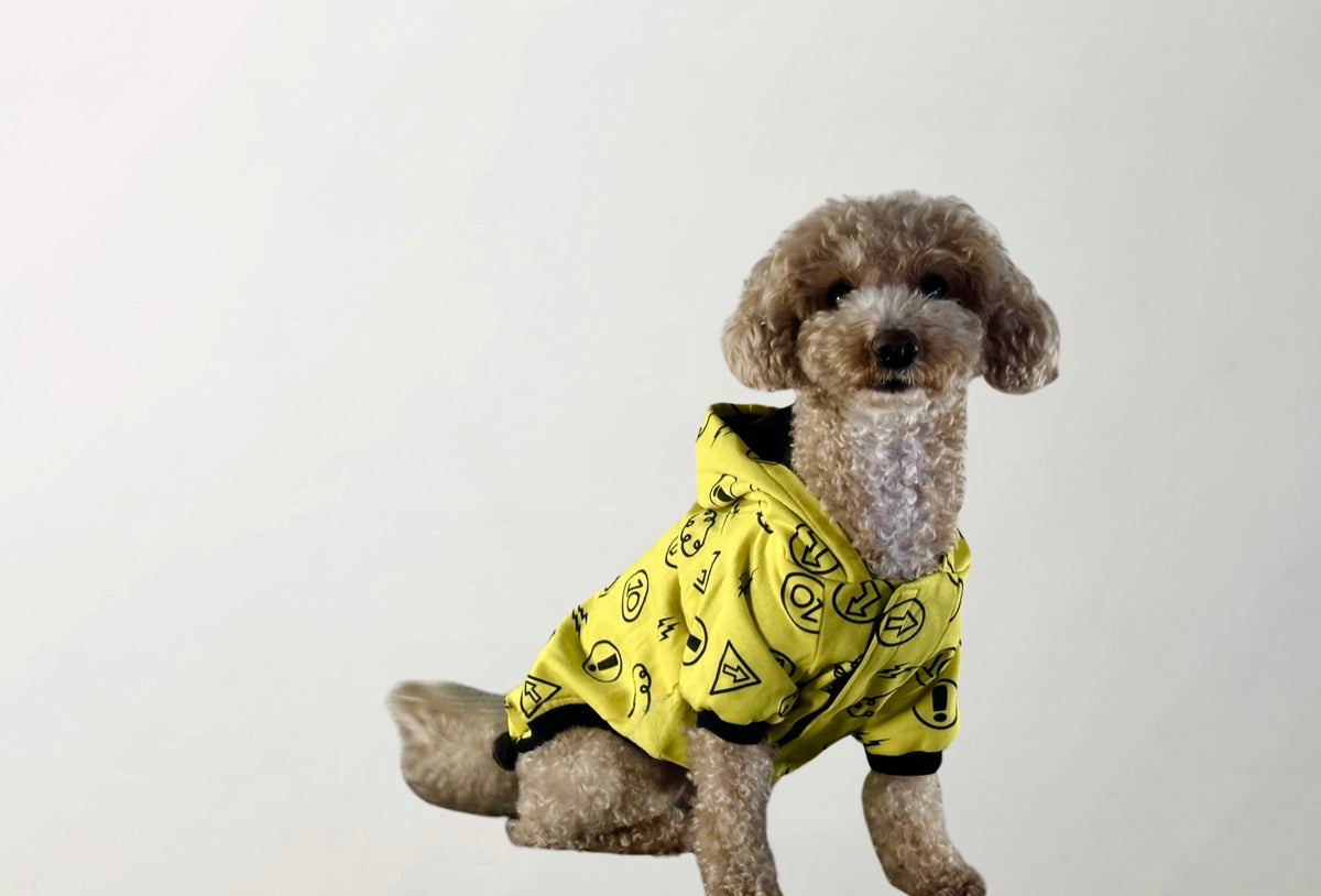 Hera Raincoat