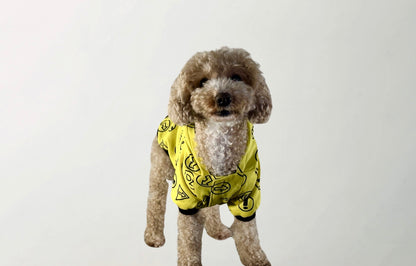 Hera Raincoat