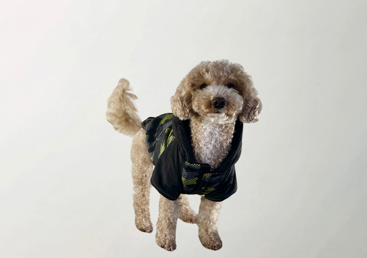Juck Raincoat