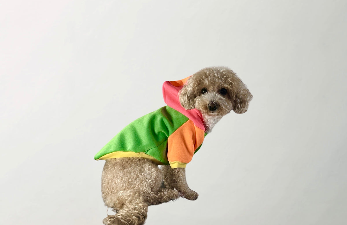 Kiwi Sweatshirts