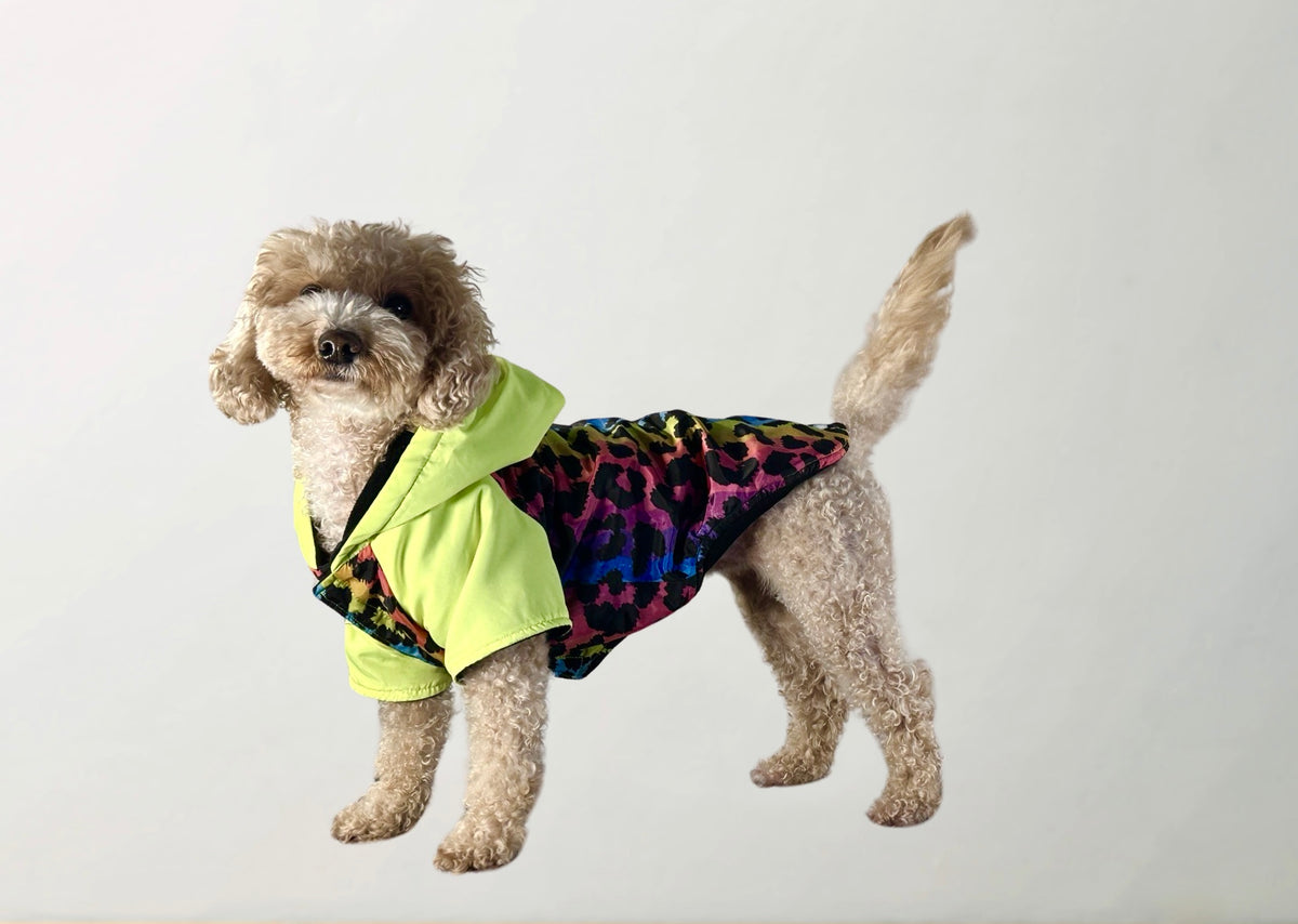 Melody Raincoat