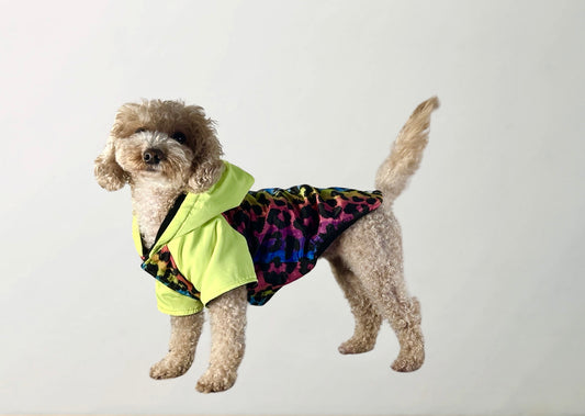 Melody Raincoat