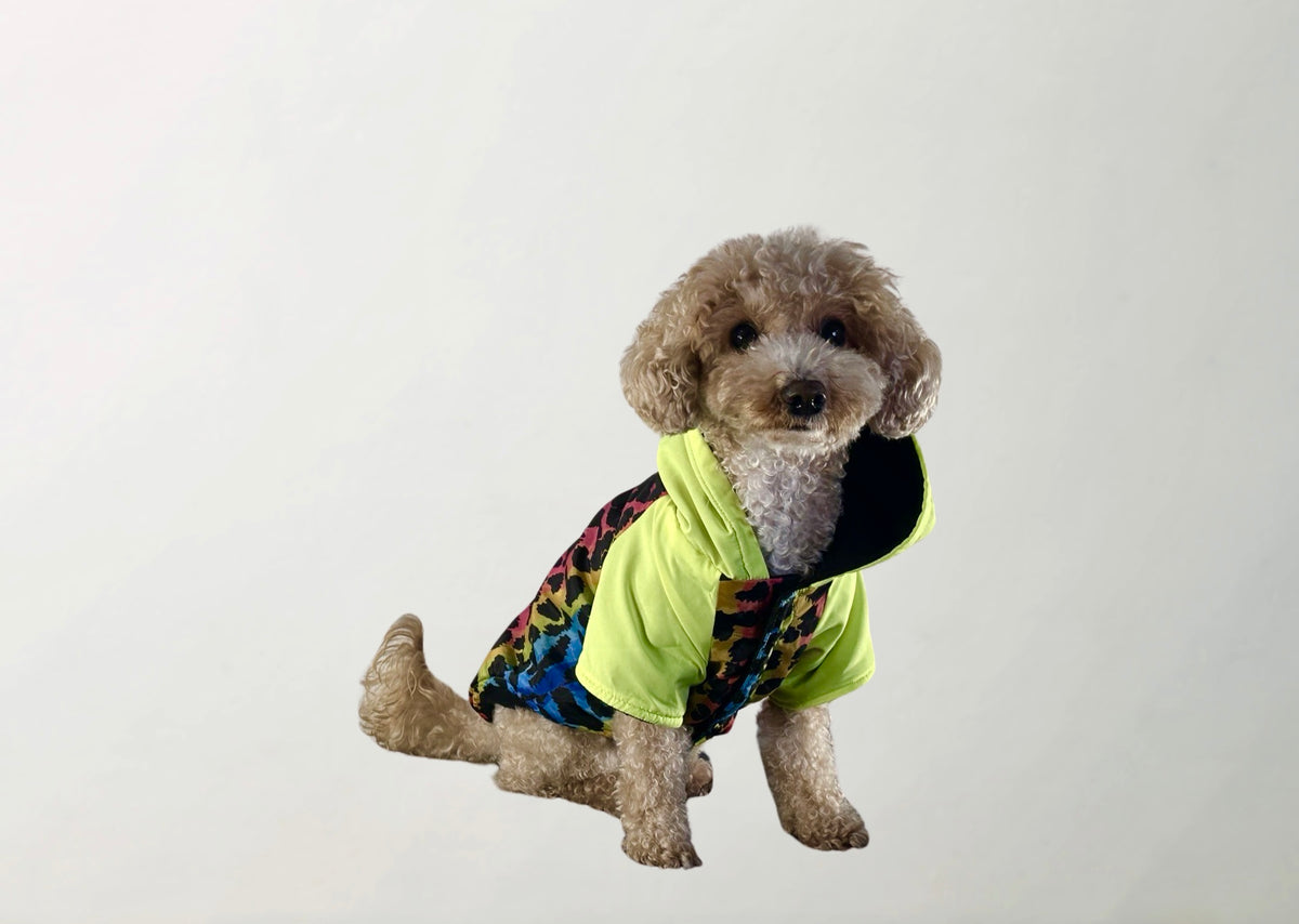 Melody Raincoat