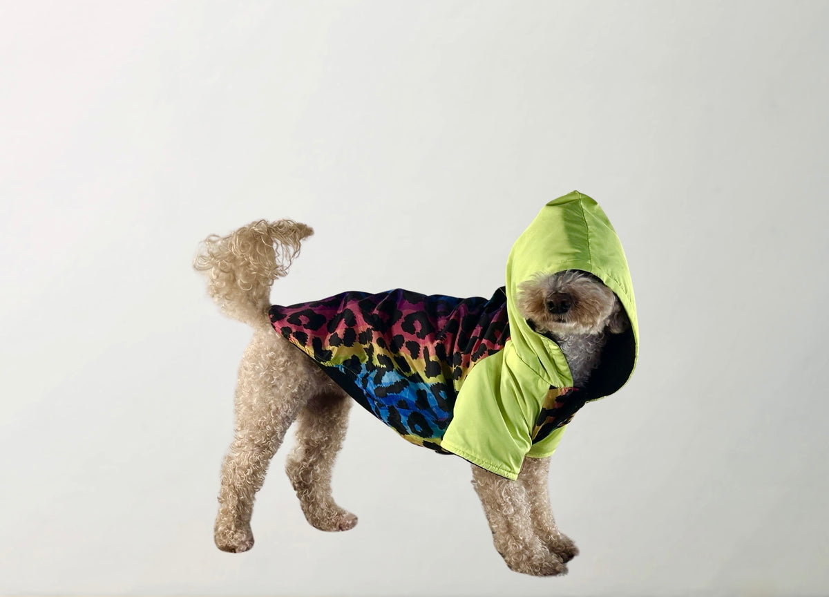 Melody Raincoat