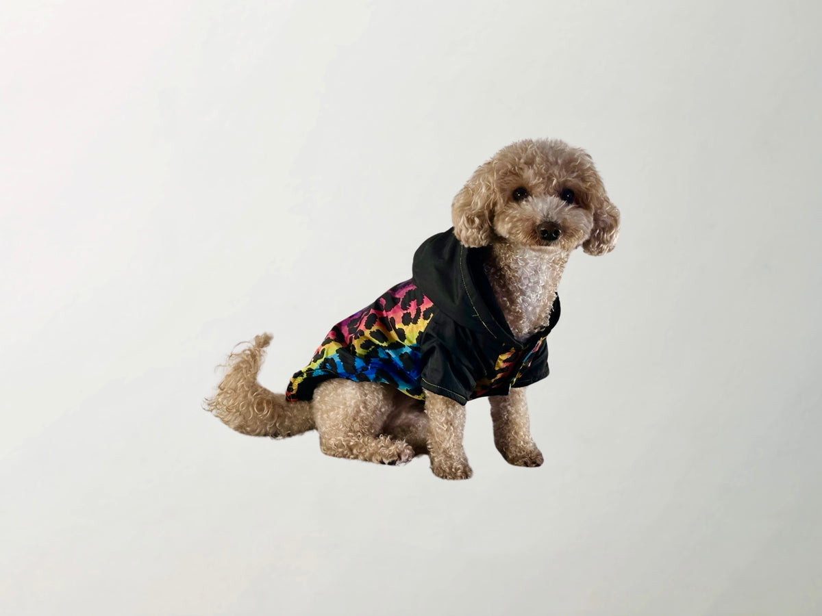 Melody Raincoat