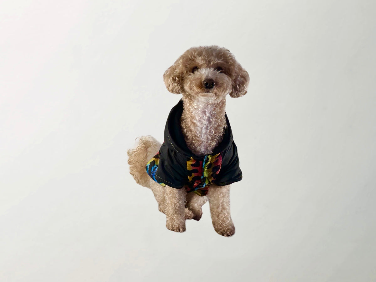 Melody Raincoat