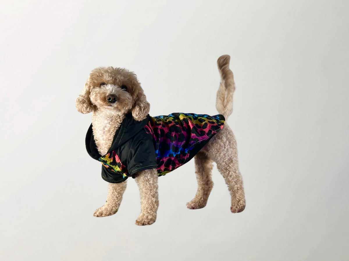 Melody Raincoat