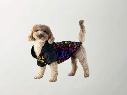 Melody Raincoat