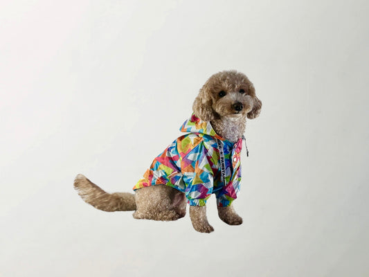 Mosaic Raincoat