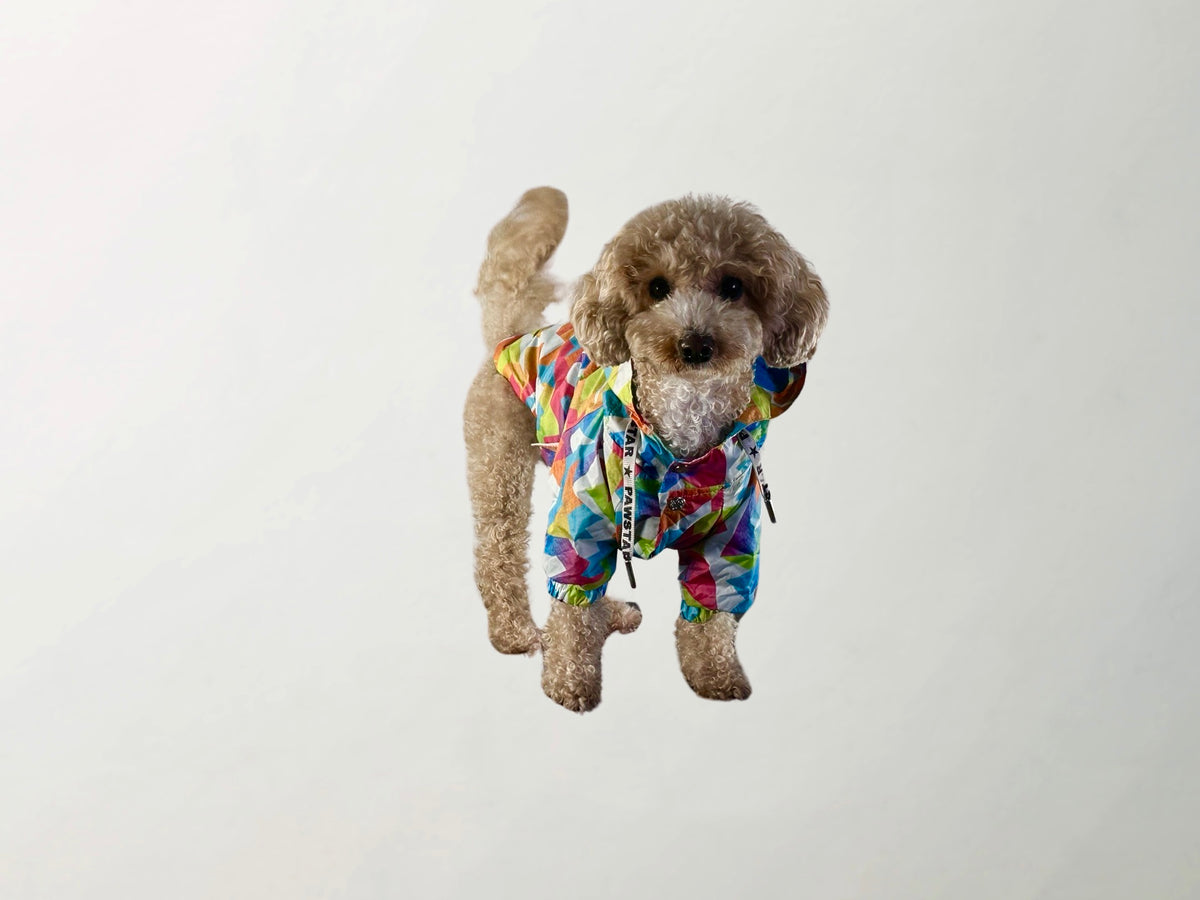 Mosaic Raincoat